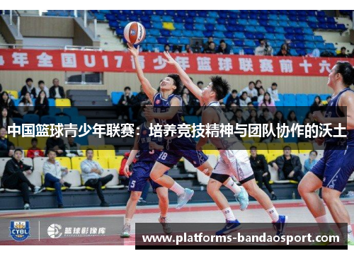 中国篮球青少年联赛:培养竞技精神与团队协作的沃土