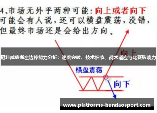 尼科威廉斯左边锋能力分析:速度突破、技术细节、战术适应与比赛影响力