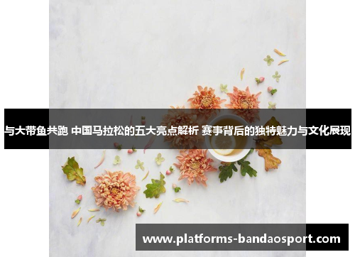 与大带鱼共跑 中国马拉松的五大亮点解析 赛事背后的独特魅力与文化展现