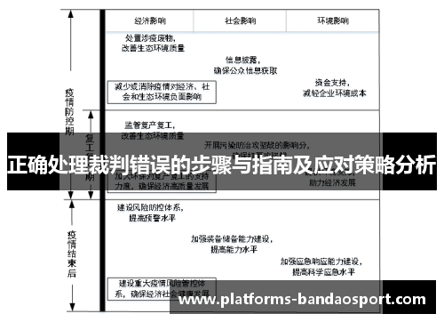 正确处理裁判错误的步骤与指南及应对策略分析