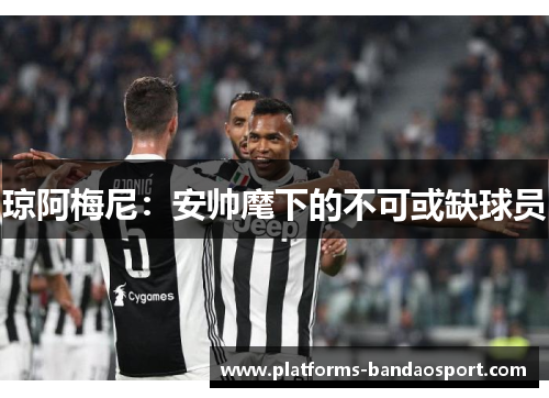 琼阿梅尼：安帅麾下的不可或缺球员