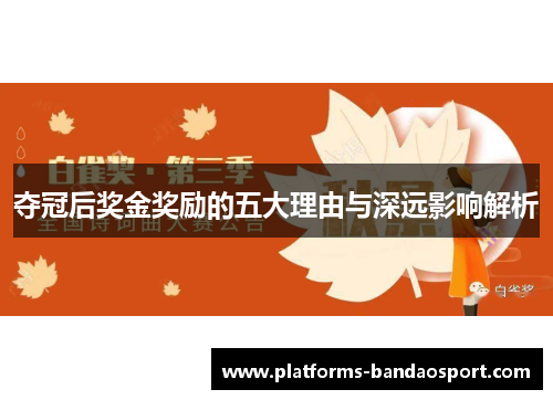 夺冠后奖金奖励的五大理由与深远影响解析