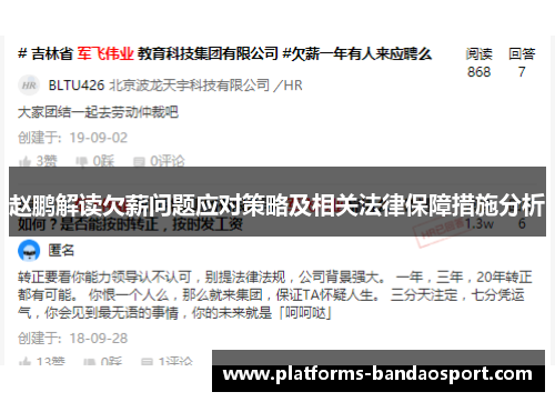 赵鹏解读欠薪问题应对策略及相关法律保障措施分析