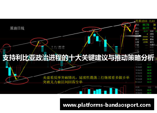 支持利比亚政治进程的十大关键建议与推动策略分析