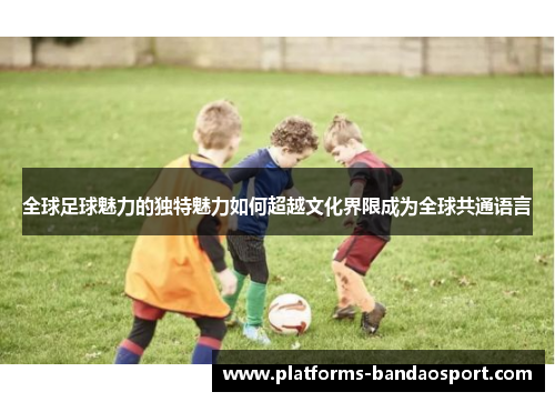 全球足球魅力的独特魅力如何超越文化界限成为全球共通语言
