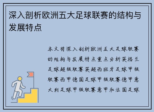 深入剖析欧洲五大足球联赛的结构与发展特点