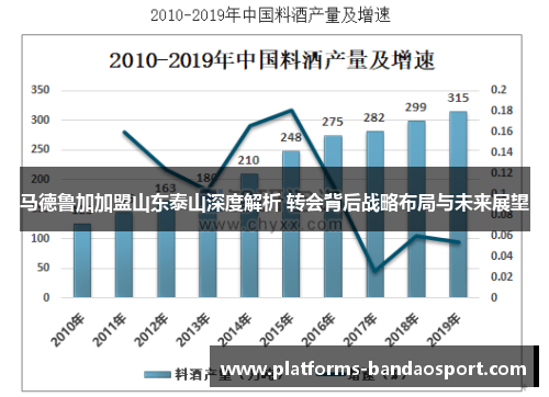 马德鲁加加盟山东泰山深度解析 转会背后战略布局与未来展望