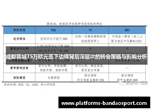 成都蓉城75万欧元签下边锋背后深层次的转会策略与影响分析 成都蓉城75万欧元签下边锋背后深层次的转会策略与影响分析
